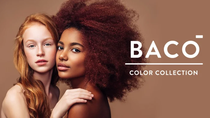 color collection banner header