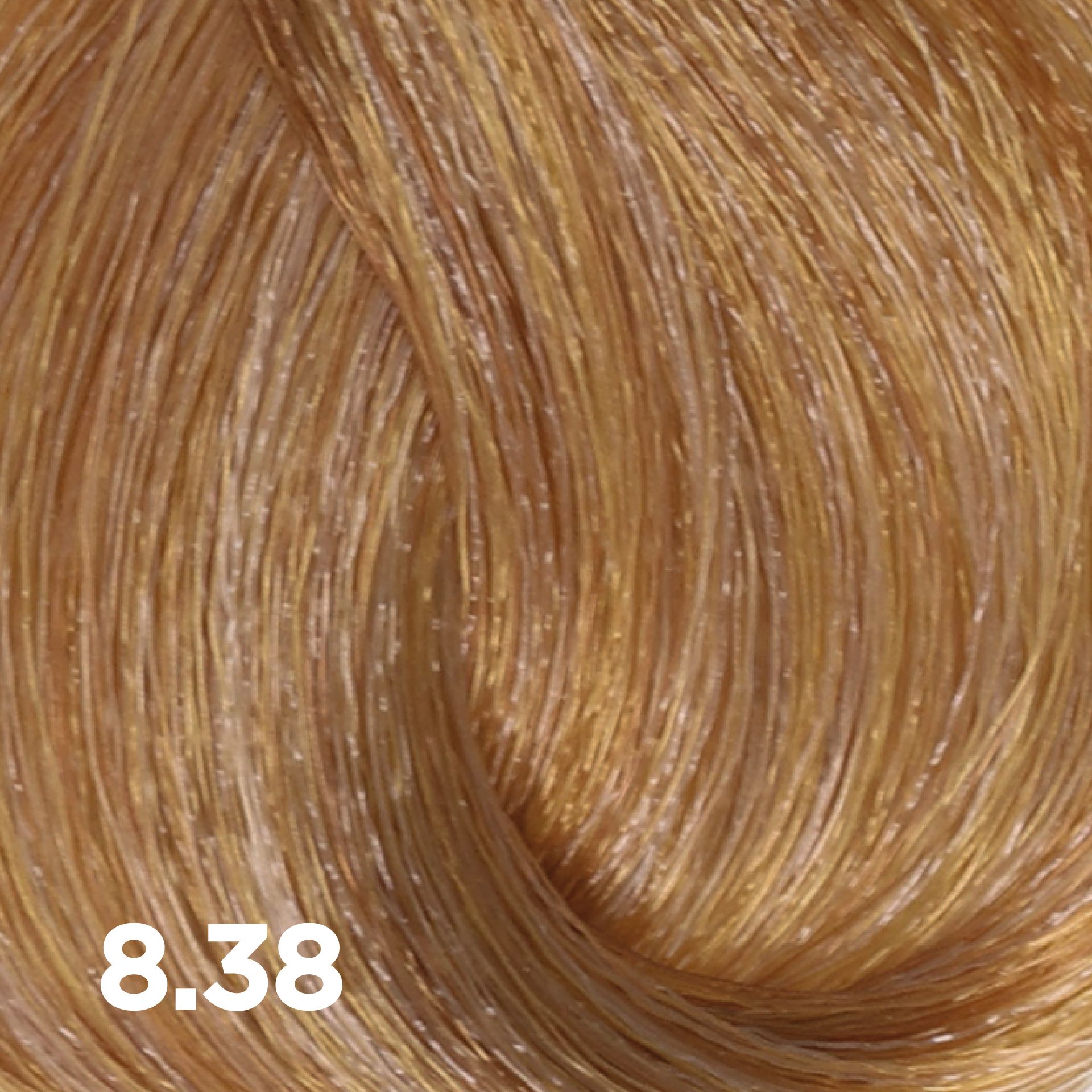 1920 1920 max (5) 1920 1920 max (5)